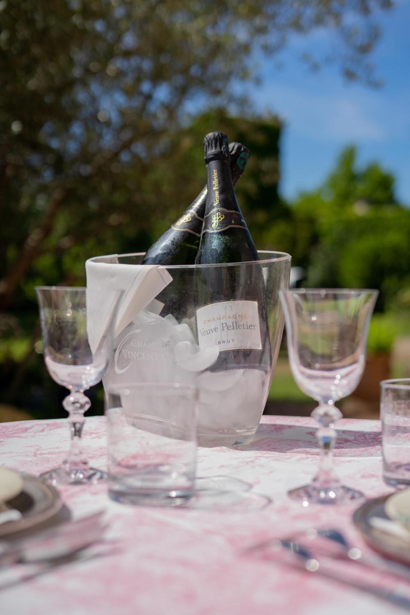 Castel Bois Marie, Maison D'Hotes Монтобан Экстерьер фото Champagne in a champagne bucket